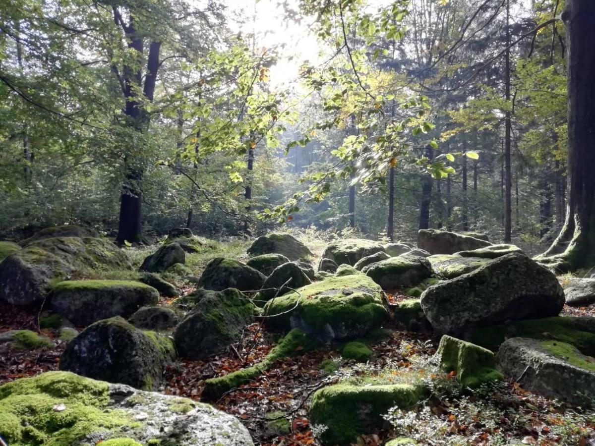 Hejnice Retreat Zewnętrze zdjęcie